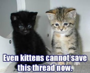 Even Kitties Cannot